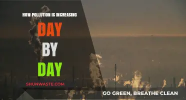 The Rising Threat of Pollution: A Daily Battle