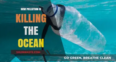 The Ocean's Plight: Pollution's Deadly Impact