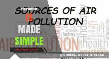 The Making of Pollution: A Simple Guide