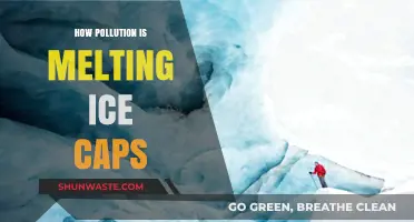 The Impact of Pollution: Melting Ice Caps