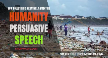 Humanity's Future: Pollution's Negative Impact