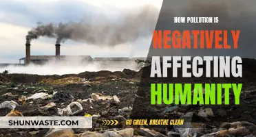 Pollution's Harmful Impact on Our Health and Future