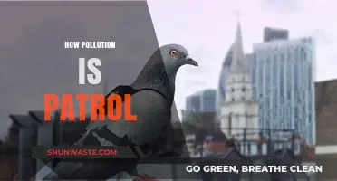 Pollution Patrol: How to Fight Environmental Hazards