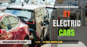 Electric Cars: Reducing Pollution, Saving the Planet