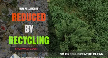 Recycling: Reducing Pollution, Saving the Planet