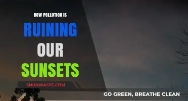 The Sunsets' Enemy: Pollution's Impact on Our Skies