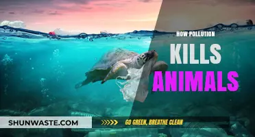 Pollution's Deadly Impact on Animals