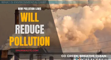 Pollution Laws: Effective Solution to Reduce Pollution