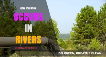 River Pollution: Causes and Effects