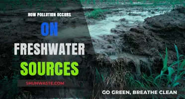 Freshwater Pollution: Human Activities and Impact