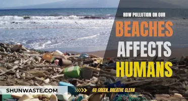 Beach Pollution: Harming Humans and Nature