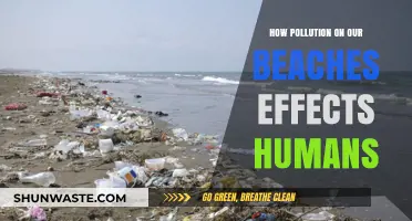 Beach Pollution: Harming Humans and Nature