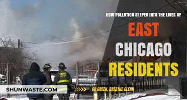 East Chicago's Pollution Legacy: A Community's Health Crisis
