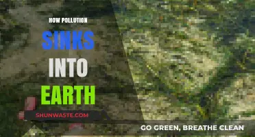 The Earth's Pollution Absorption: A Deep Dive