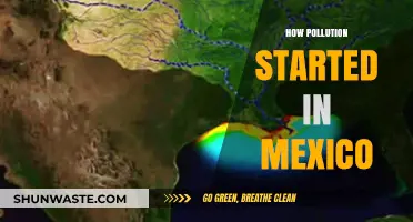 Mexico's Pollution: A Historical Perspective