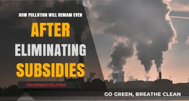 Pollution Persists: Subsidies Aren't the Only Culprit