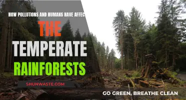 The Impact of Humans and Pollution on Temperate Rainforests