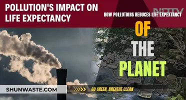 Pollution's Deadly Impact: Shortening Our Planet's Lifespan