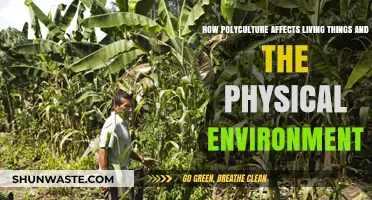 Polyculture's Impact: How Diverse Farming Shapes Ecosystems and Life