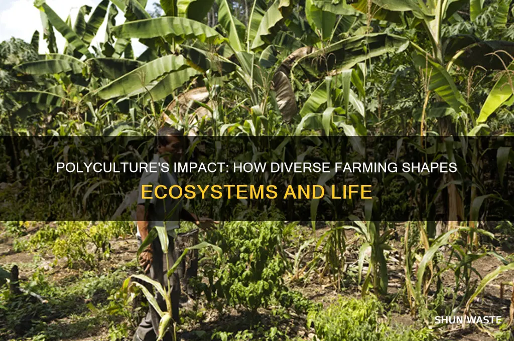 how polyculture affects living things and the physical environment