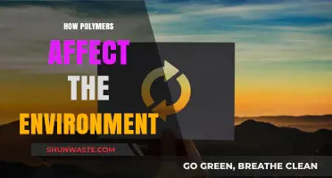 Polymers' Environmental Impact: Understanding Their Role and Consequences