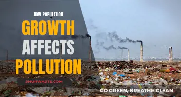 Population Boom and Pollution: What's the Connection?