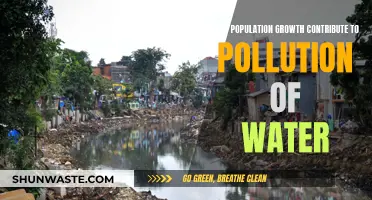 Population Boom: The Hidden Cost of Water Pollution