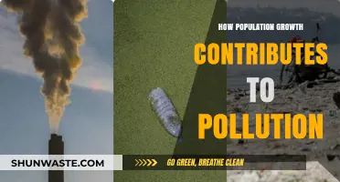 Population Boom: Pollution's Unseen Driver