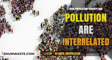 Poverty, Pollution, and Population: A Cycle of Crisis