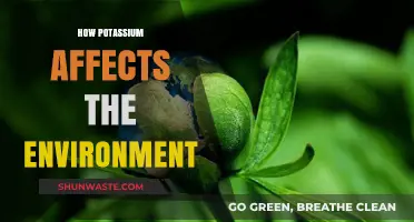 Potassium's Environmental Impact: Benefits, Risks, and Sustainable Practices