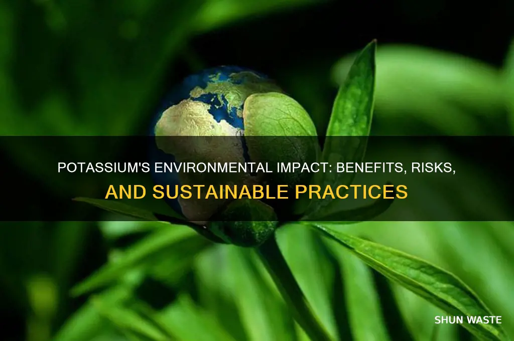 how potassium affects the environment