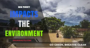 Poverty's Environmental Toll: Exploring the Hidden Ecological Consequences