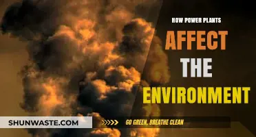 Power Plants' Environmental Impact: Pollution, Climate Change, and Ecosystem Disruption
