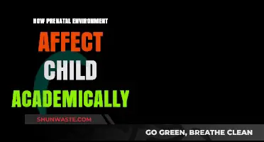Prenatal Environment's Impact: Shaping a Child's Academic Future