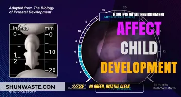 Prenatal Environment's Impact: Shaping Child Development from Conception to Birth