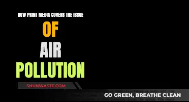 Print Media's Take on Air Pollution: An Analysis