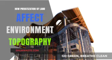 Privatization's Impact: Altering Landscapes and Environmental Topography