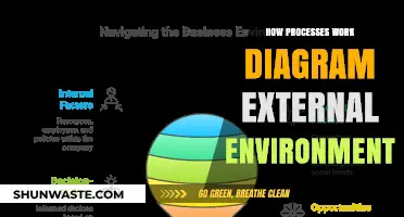 Understanding External Environment Impact on Business Process Diagrams