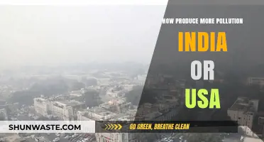 Who Pollutes More: India or the USA?