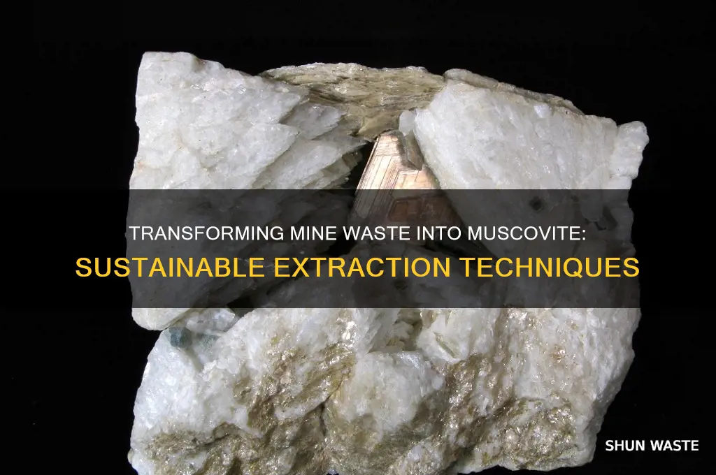 how produce muscovite from the mine waste