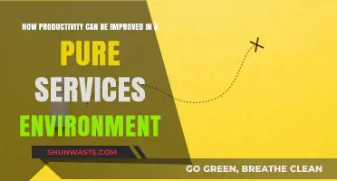 Boosting Efficiency: Strategies to Enhance Productivity in Service-Based Industries