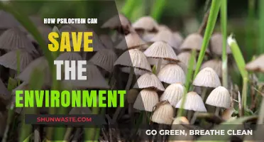 Psilocybin's Potential: Unlocking Eco-Friendly Solutions for a Sustainable Future