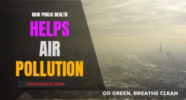 Public Health Strategies for Cleaner Air
