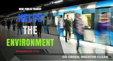 Public Transit: A Green Solution for Sustainable Urban Mobility