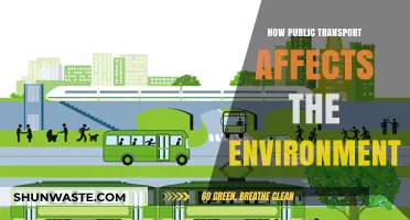 Public Transport's Environmental Impact: Greener Commutes for a Sustainable Future