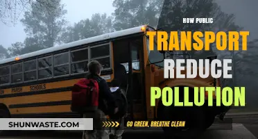 Green Commuting: Public Transport's Anti-Pollution Power
