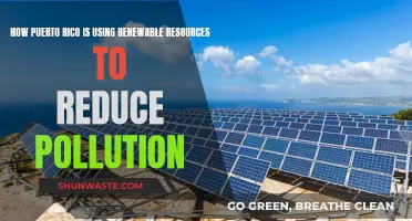 Puerto Rico's Green Revolution: Renewable Energy, Less Pollution