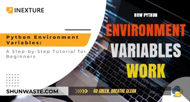 Mastering Python Environment Variables: Setup, Usage, and Best Practices
