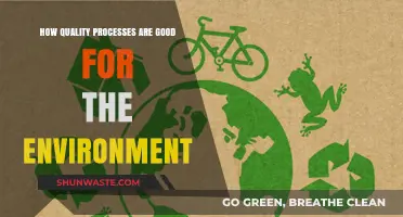 Quality Processes: Eco-Friendly Benefits for a Sustainable Future