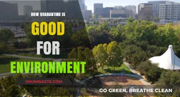 Quarantine's Silver Lining: How Lockdown Revitalized Our Environment